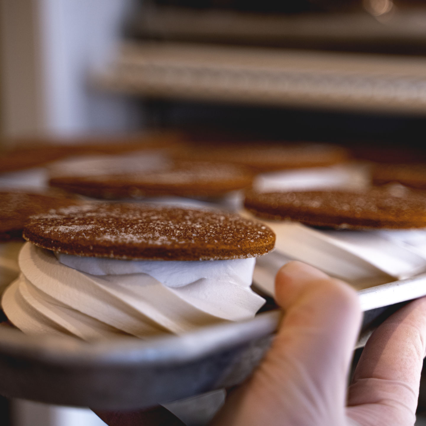 Churn Ice Cream Sandwich vegan